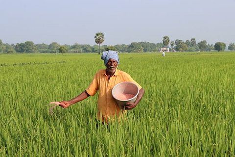 CF Industries Holdings, Inc. (CF) Expands Ammonia Strategy Amid Analyst Downgrades