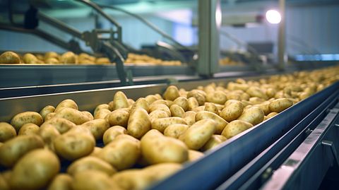 Barclays Sees Lamb Weston (LW) Selloff as Overdone, Cuts Price Target