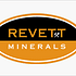 Revett Minerals Inc ADR (RVM): Insiders Are Buying, Should You?