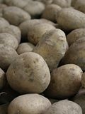 20 States That Produce The Most Potatoes
