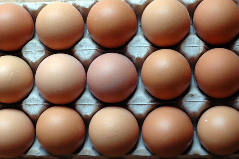 10 Largest Egg Producing Countries In The World
