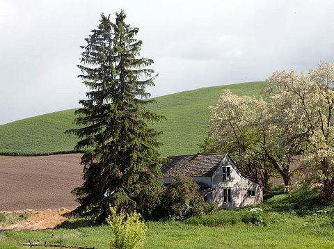 Idaho Barn