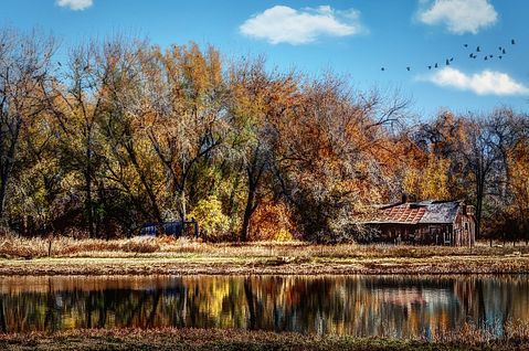 colorado-rural-fall-ranch-cabin-stream-water