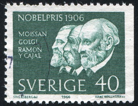 rook76 / Shutterstock.com