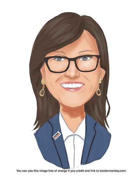 16 Best Stocks to Buy and Hold for the Next 15 Years According to Cathie Wood's Portfolio