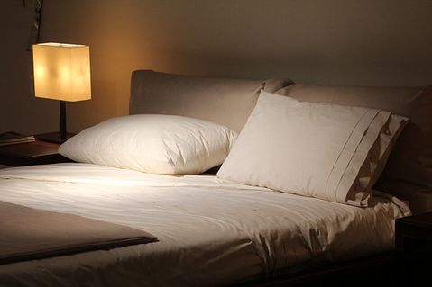 11 Worst Cities For Bedbugs in America