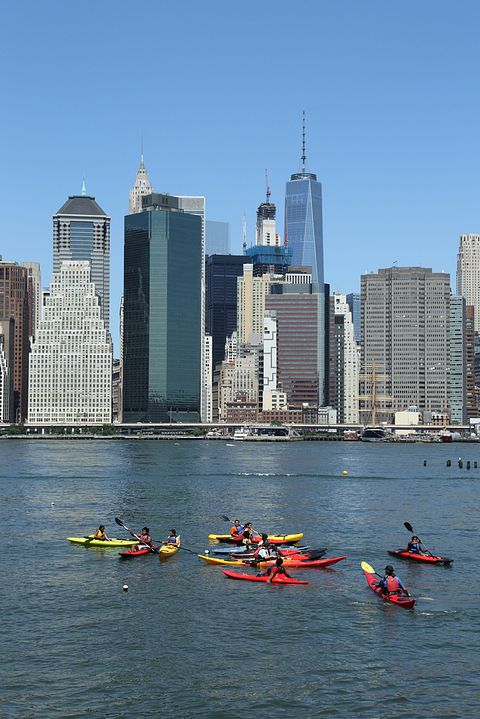 Leonard Zhukovsky/Shutterstock.com 