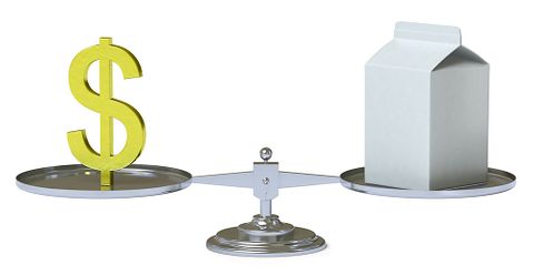 Pavel Ignatov/Shutterstock.com