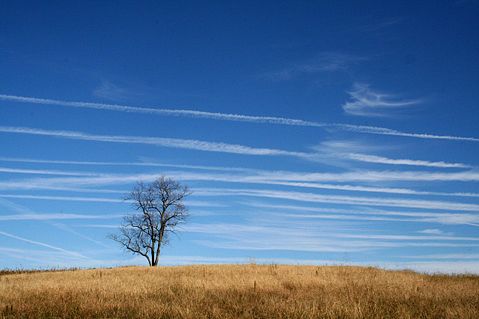 prairie-Kansas-meadow