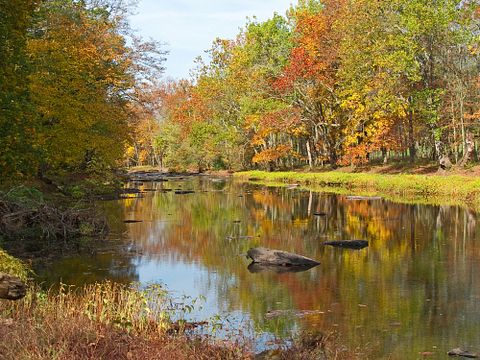 pa, creek, fall, pennsylvania, leaves, foliage, rocks, autumn, trees, stream, woods, seasons, forest, colors, water, reflections, landscape