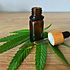 8 Best CBD Stocks to Buy Right Now