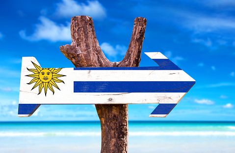 Gustavo Frazao/Shutterstock.com 