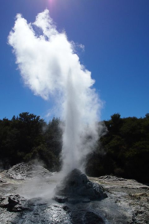 Lady Knox Geyser new zeland