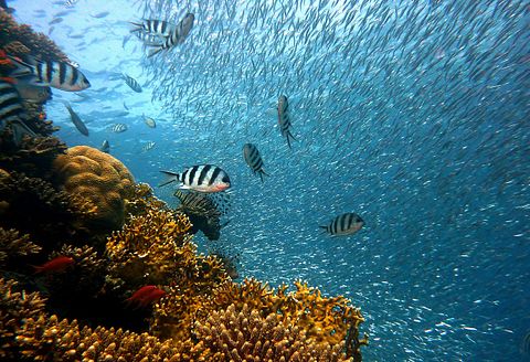 Places to See in Brazil Before You Die
