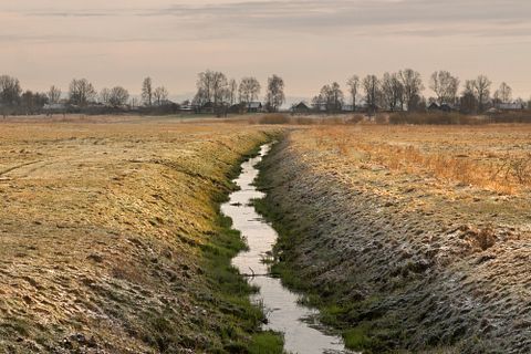 alex makarenko/Shutterstock.com 