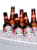 12 Largest Beer Companies in US