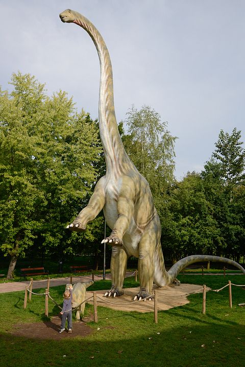 Dziurek/Shutterstock.com 