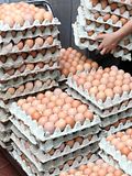 10 Highest Quality Egg Brands in the US