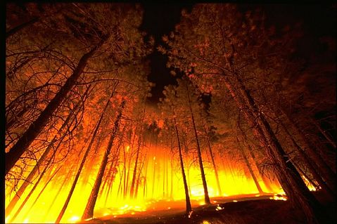 Biggest Fires in US History