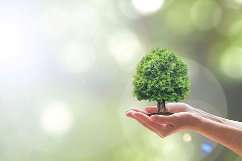 11 Best Sustainability Stocks to Invest In