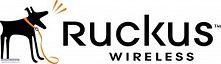Ruckus Wireless Inc (NYSE:RKUS)