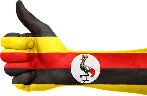 African Countries with the Highest Military Strength - Uganda