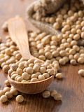 5 Best Seed Treatment Methods for Soybean and Wheat