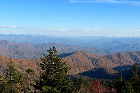 16 Best Whitetail Deer Hunting States for Big Game Hunters