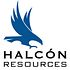 Hedge Funds Aren't Crazy About Halcon Resources Corp (HK) Anymore