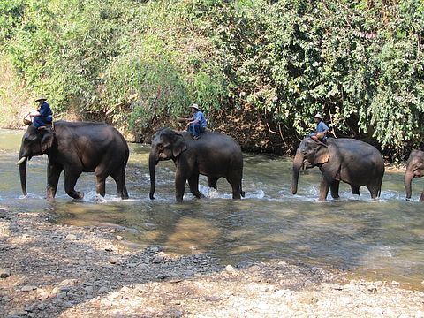 thailand-287281_640