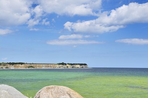 Steffen Hoejager/Shutterstock.com 