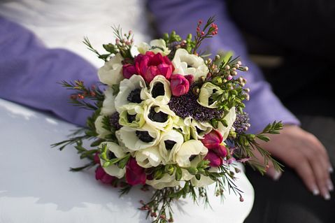 Countries that Export the Most Cut Flowers in the World