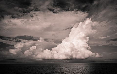 Janelle Lugge/Shutterstock.com 