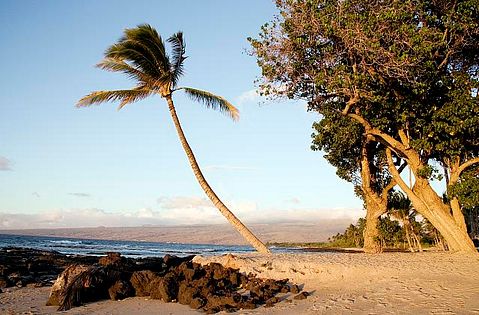 Beach scene on the island of Oahu, Hawaii