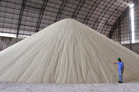 8 Countries that Produce the Most Sugar in the World