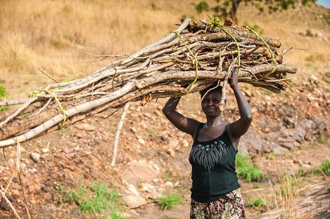 Anton_Ivanov / Shutterstock.com