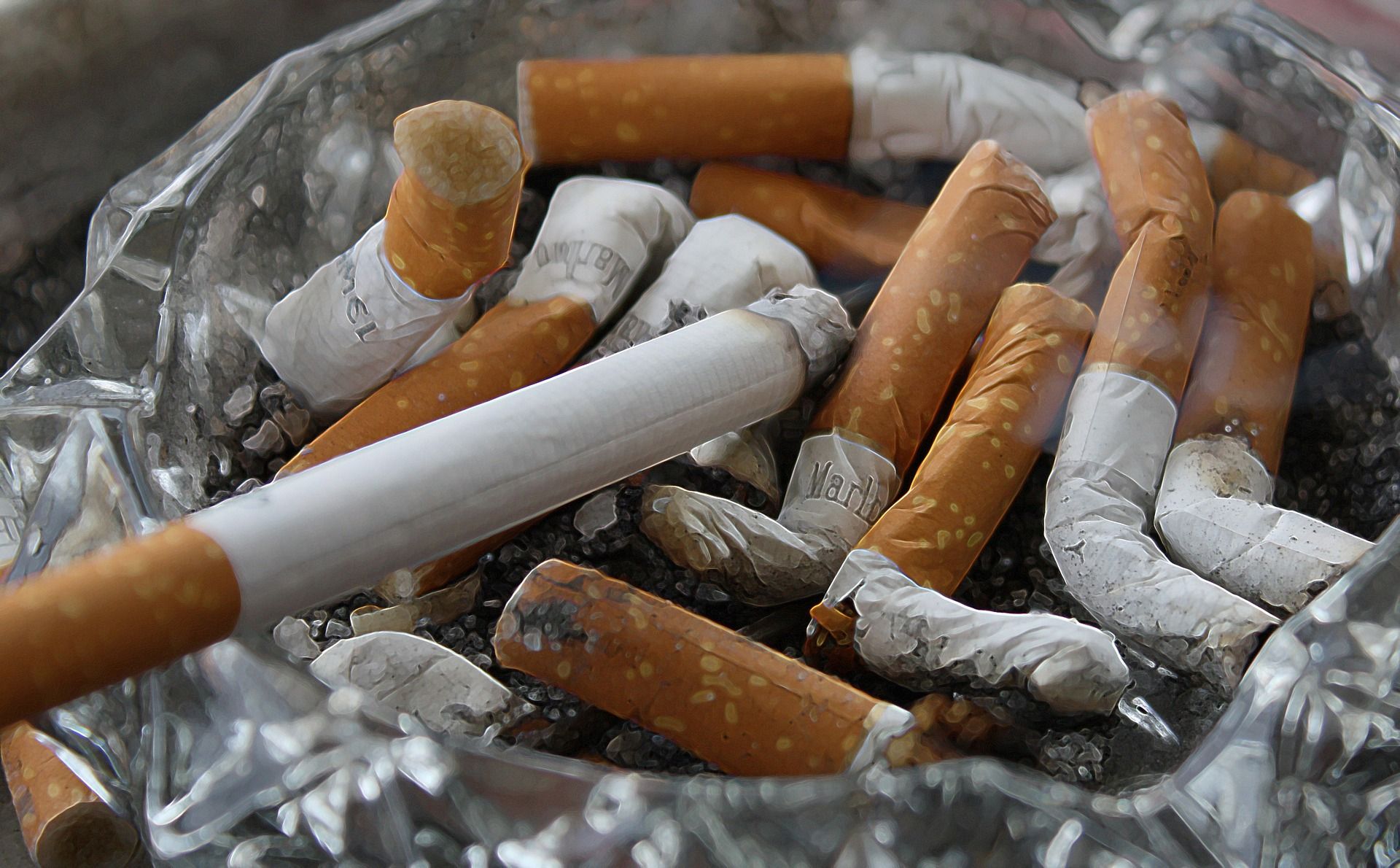 fry's cigarette prices TOP 10 BEST Cheap Cigarettes near Phoenix, AZ 85015 - Updated 2026 fry's cigarette prices TOP 10 BEST Cheap Cigarettes near Phoenix, AZ 85015 - Updated 2026
