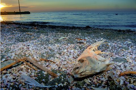 Greg Amptman/Shutterstock.com 11 Deadliest Lakes in the United States 