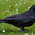 Is Raven Industries, Inc. (RAVN) A Buy After Landing Defense Contract?