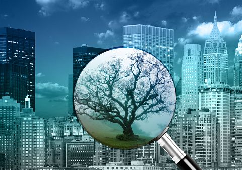 25 Best States for Environmental Engineers