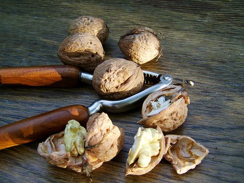 Countries that Produce the Most Walnuts in the World