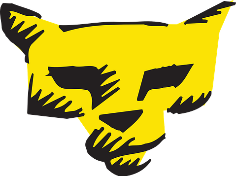  Best Selling DVDs of All Time The Lion King