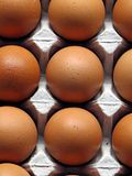20 States That Produce the Most Eggs in the US