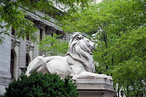 New York City Library Lion by sculptor Edward Clark Potter were dedicated in 1911.