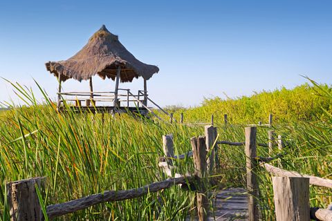 holbox/Shutterstock.com 