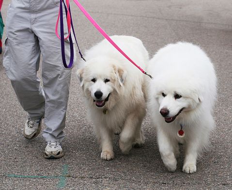 11 In Demand Business Ideas Without Capital in the Philippines