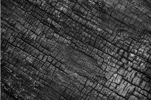 10 Countries that Export the Most Coal in the World