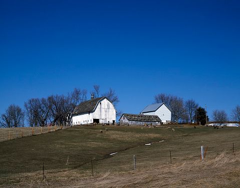 Iowa sheep farm rural