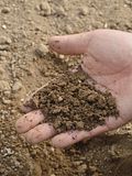 12 Largest Potash Producing Countries in the World