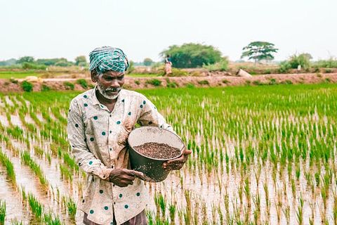 Nutrien Ltd. (NTR) Delivers Portfolio Simplification and Growth Focus After Strong 2025 Rally